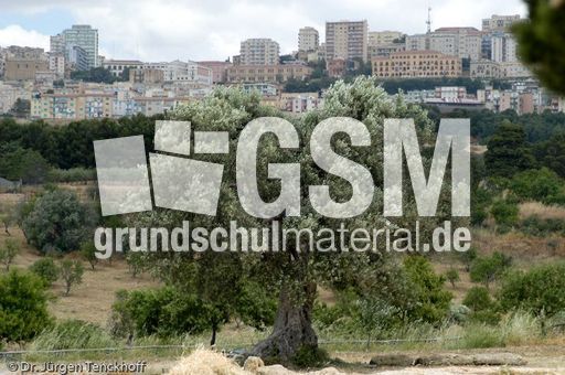 Sizilien (202 von 565).jpg